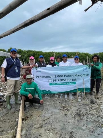Penanaman 1000 pohon Mangrove di pesisir Tambakrejo Semarang Jawa Tengah
